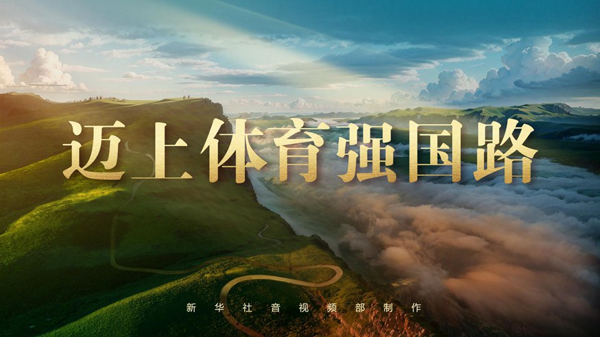 南虎队的球